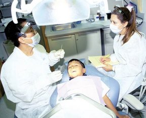 dental schools