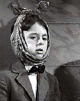 Alfalfa Toothache